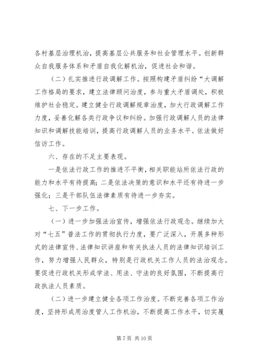 乡镇XX年法治政府建设自查报告.docx