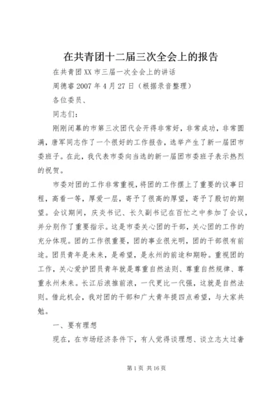 在共青团十二届三次全会上的报告 (5).docx