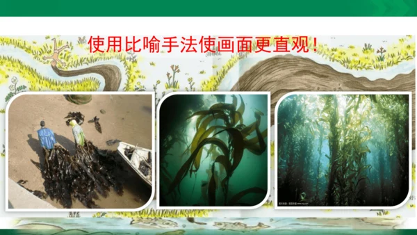 部编版三下语文第五单元第16课小真的长头发课件