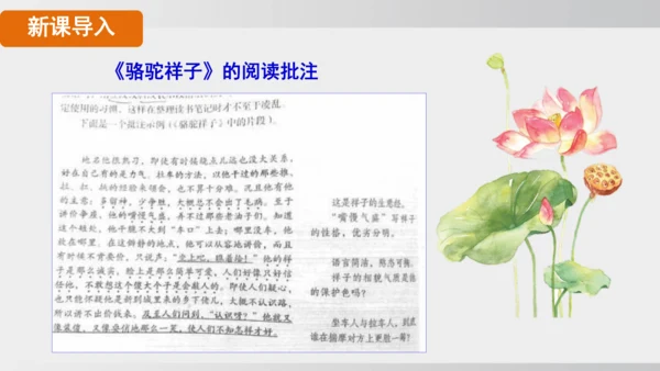 七年级下册语文第三单元整本书阅读 《骆驼祥子》课件