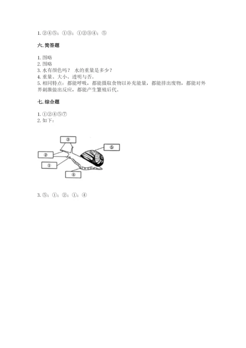 教科版一年级下册科学期末测试卷完整答案.docx