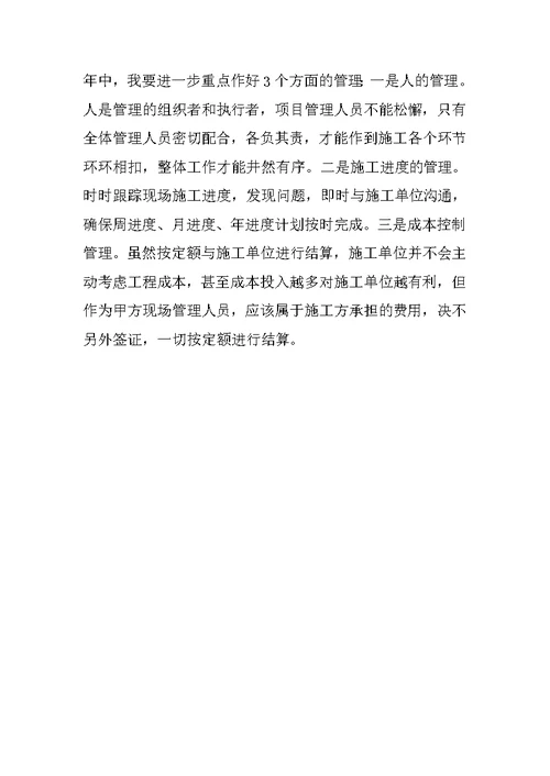 项目经理年度总结报告