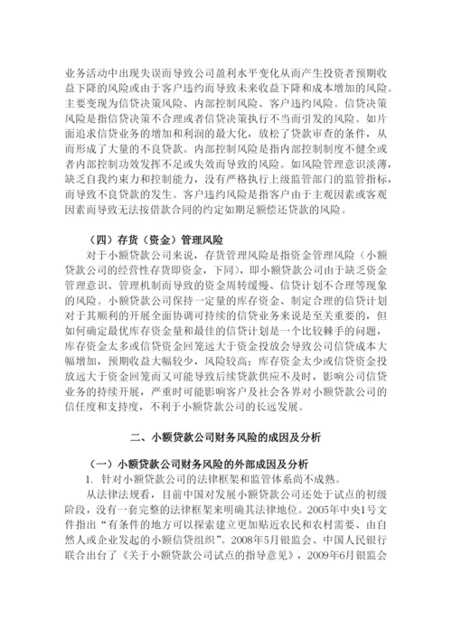 我国小额贷款公司财务风险探讨--毕业论文设计.docx