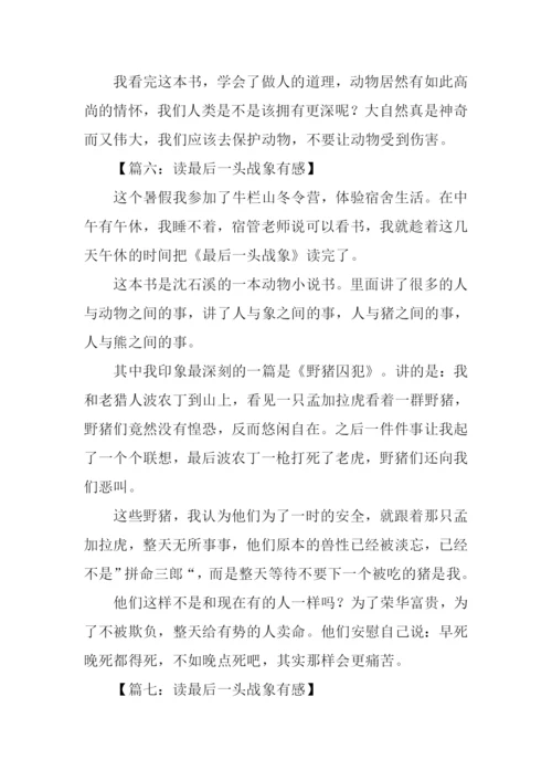 读最后一头战象有感350字.docx
