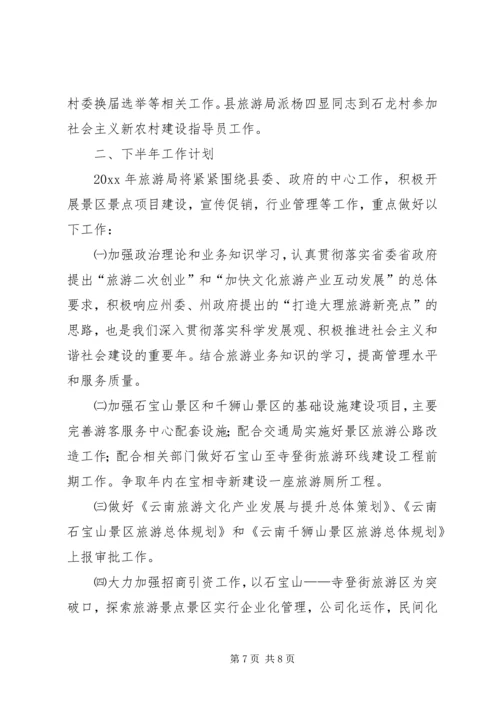 旅游事业局上半年工作总结及下半年工作计划.docx