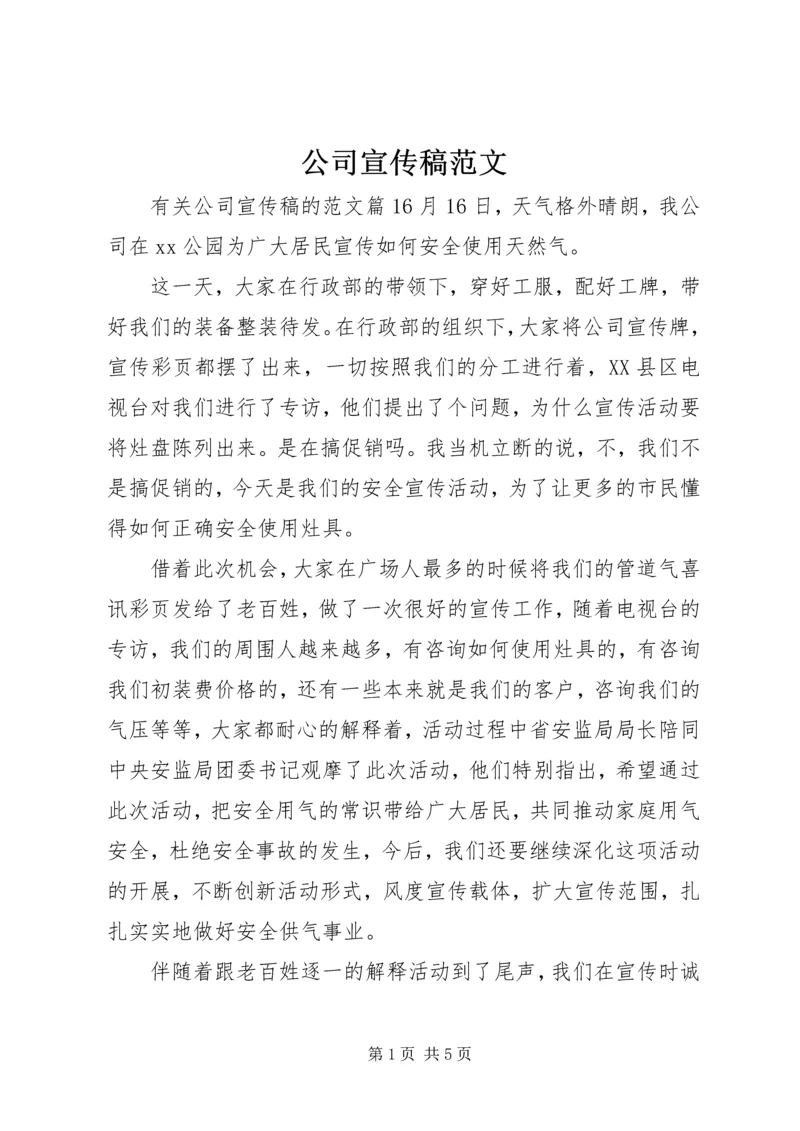 公司宣传稿范文.docx