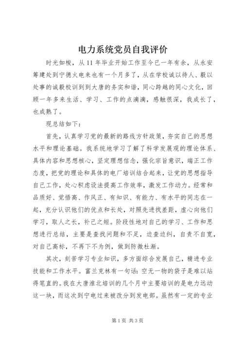 电力系统党员自我评价.docx