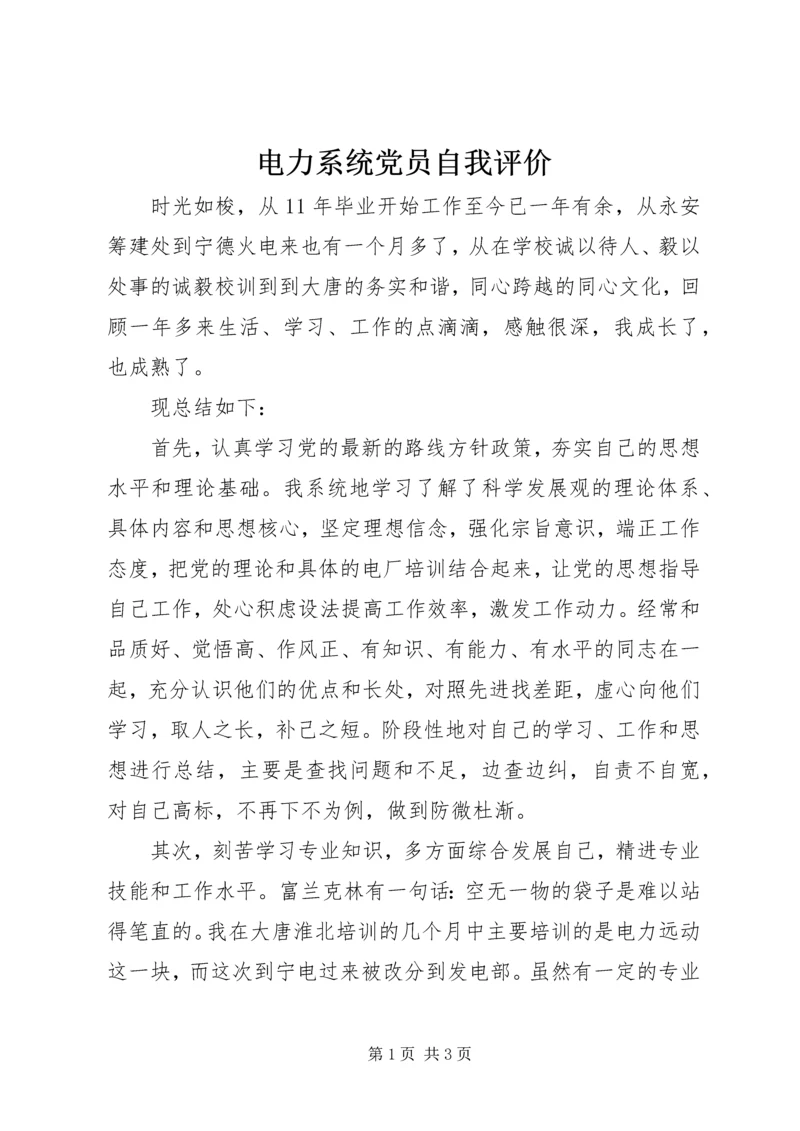 电力系统党员自我评价.docx