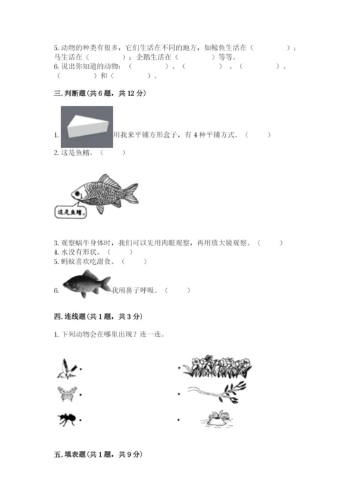 教科版一年级下册科学期末测试卷及1套完整答案.docx