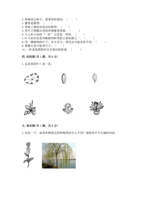 教科版一年级上册科学期末测试卷及答案【有一套】.docx