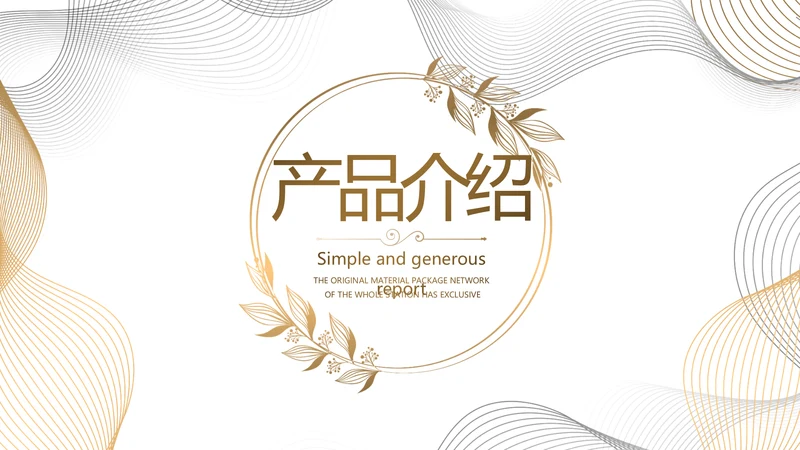 简约大气公司产品介绍宣传通用PPT