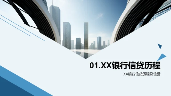 XX银行新贷款产品解读