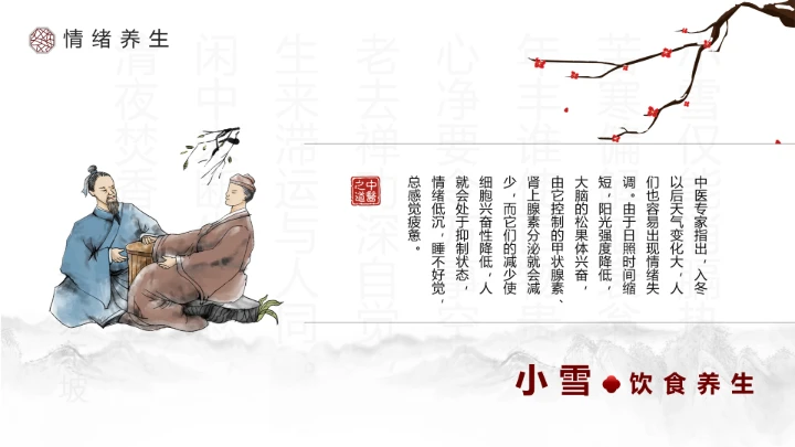 淡雅中国风二十四节气之小雪养生PPT模板