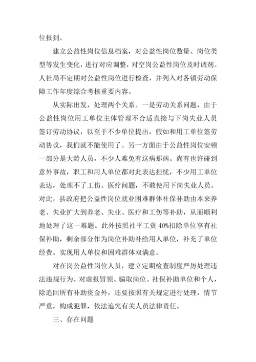 公益性岗位开发管理情况的调研报告.docx