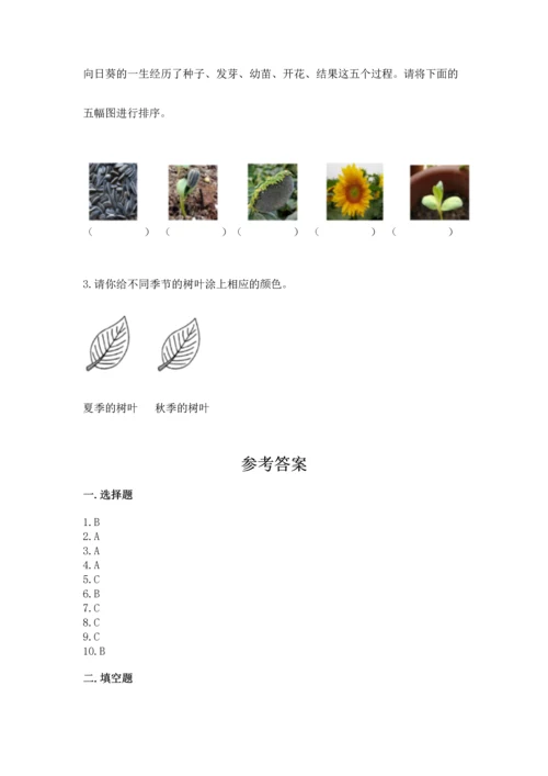 教科版一年级上册科学期末测试卷审定版.docx