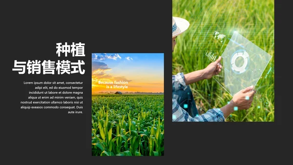 绿色农产品瓜果蔬菜农业主题通用PPT模板