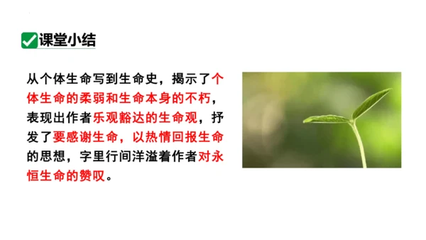 第16课《散文二篇——永久的生命》课件