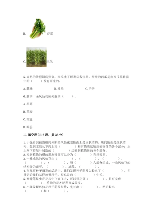 教科版四年级下册科学第一单元《植物的生长变化》测试卷（历年真题）.docx