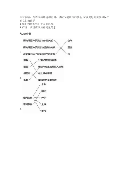 教科版科学五年级下册第一单元《生物与环境》测试卷及答案【最新】.docx