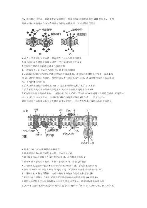 内蒙古包头市2021届高三上学期8月起点调研考试生物试题含答案