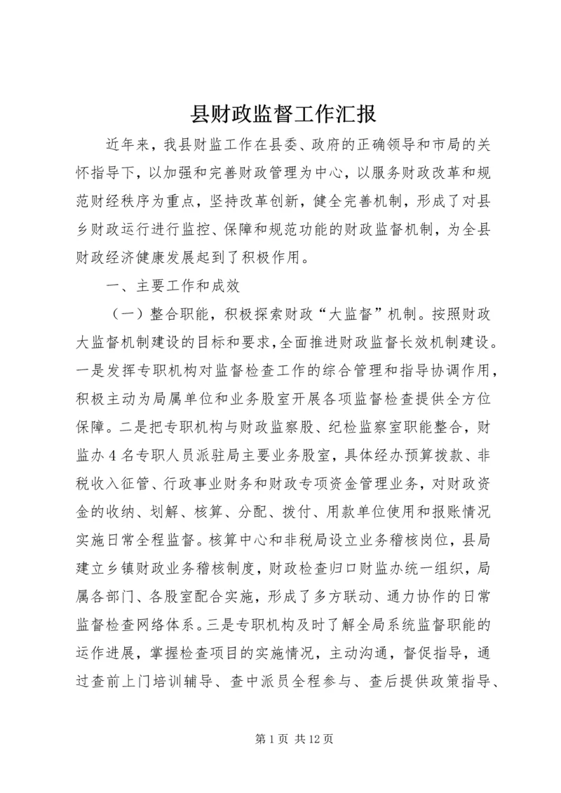 县财政监督工作汇报.docx