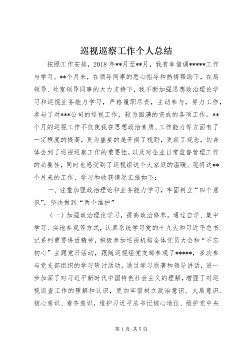 巡视巡察工作个人总结.docx