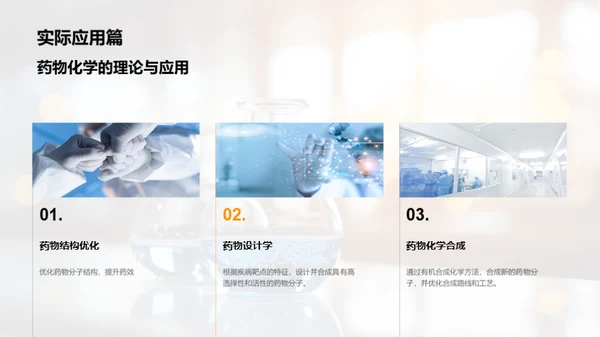 药物化学的研究与影响