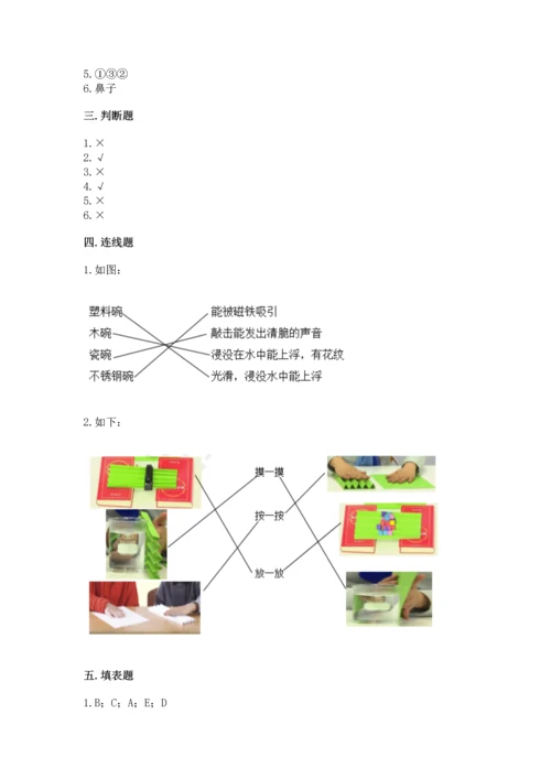 教科版科学二年级上册《期末测试卷》及参考答案【培优b卷】.docx