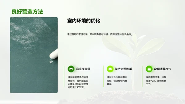 植物生长与环境因素