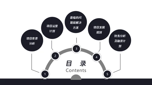 数字化全球信息科技项目计划书PPT模板