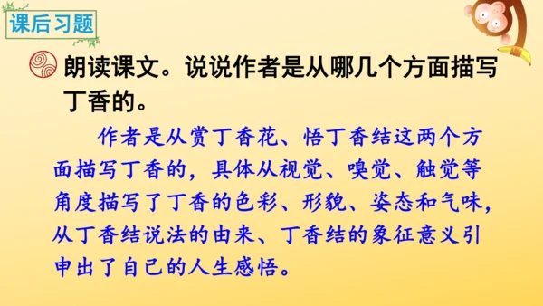 2 丁香结  课件