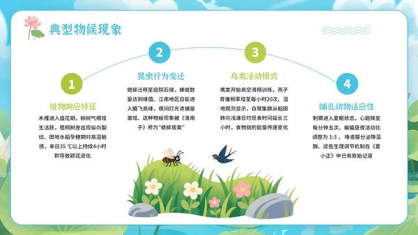蓝绿色卡通插画风格节气主题小暑PPT