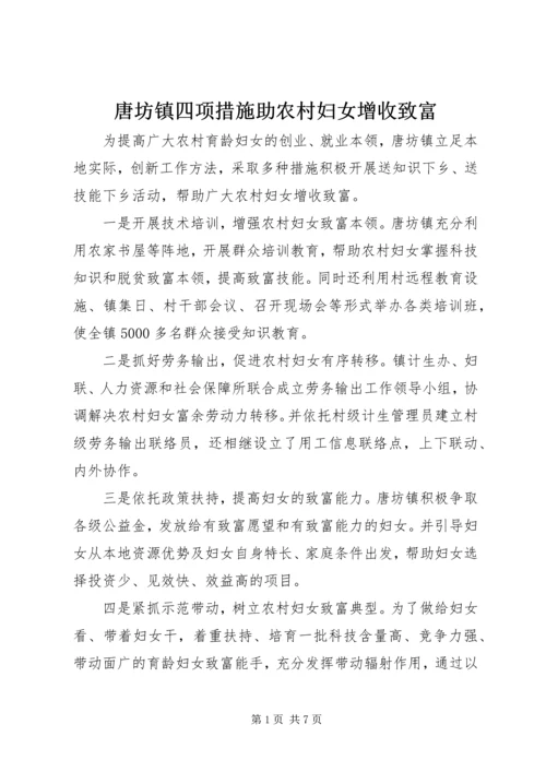 唐坊镇四项措施助农村妇女增收致富.docx