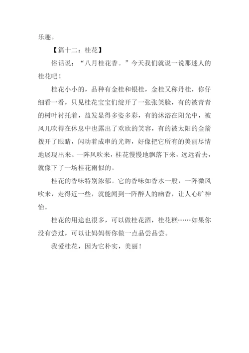 小学三年级状物作文大全.docx