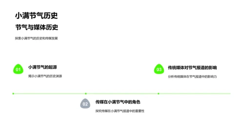 小满节气媒体报道PPT模板