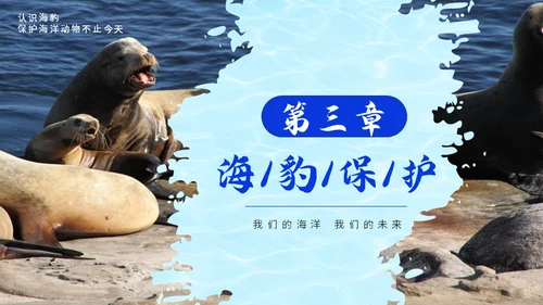 国际海豹日海狮海象通用PPT模板