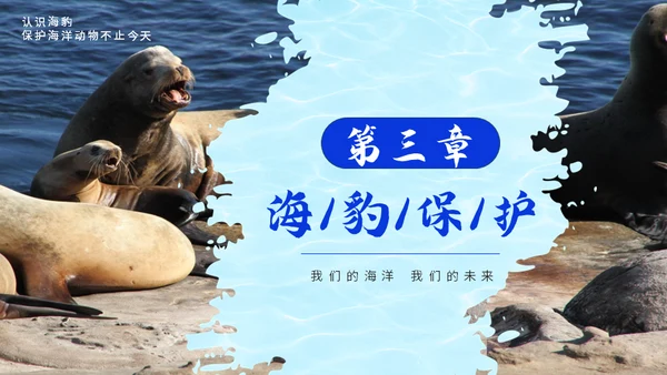 国际海豹日海狮海象通用PPT模板