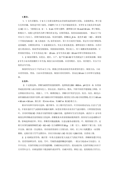 苗木香榧种植项目建议书.docx