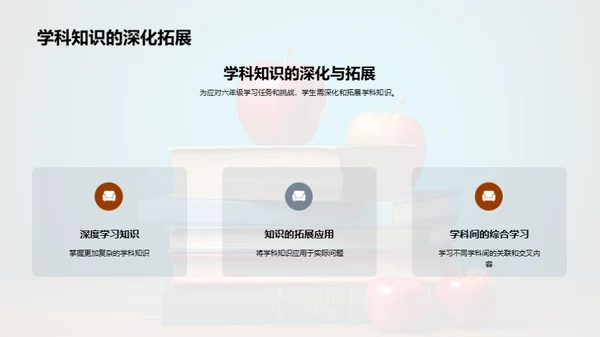 六年级学习全攻略