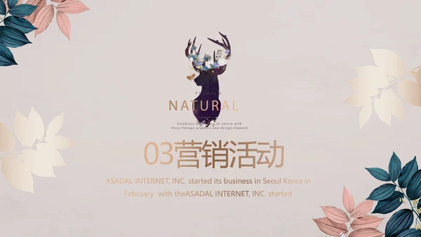 品牌营销策划方案工作总结动态PPT