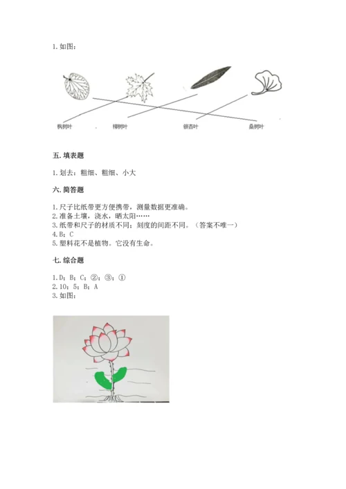 教科版一年级上册科学期末测试卷及参考答案【典型题】.docx