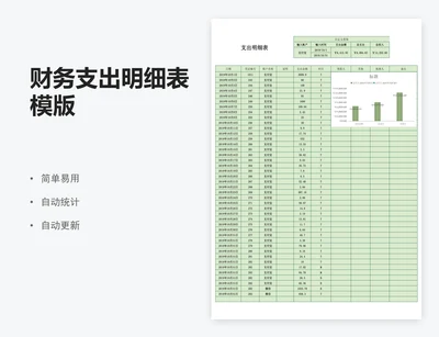 财务支出明细表模版