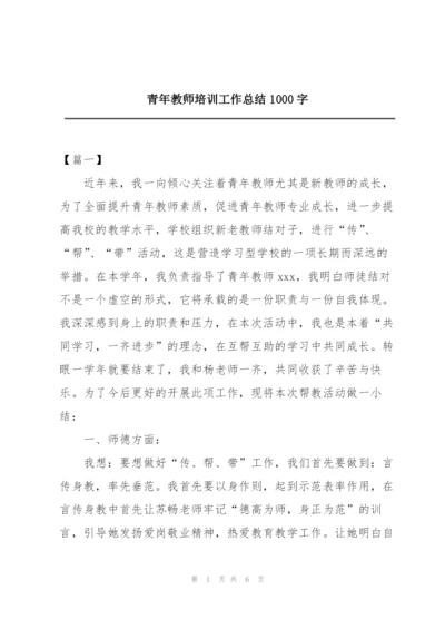 青年教师培训工作总结1000字.docx