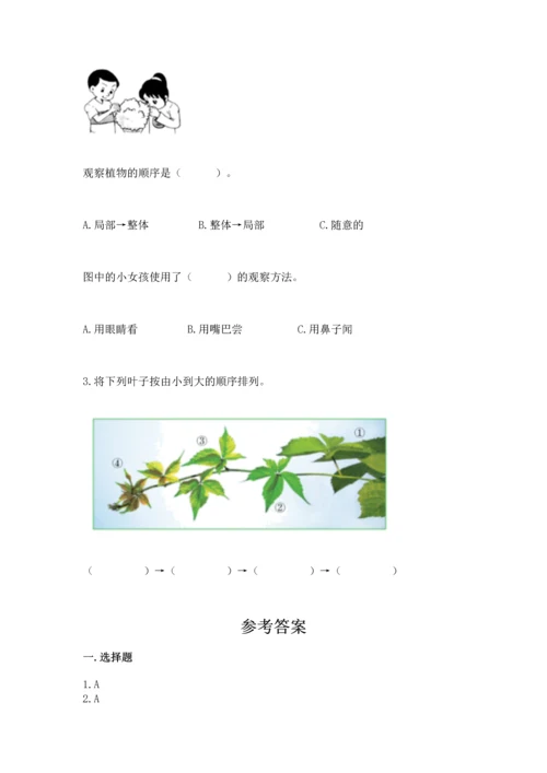 教科版科学一年级上册第一单元《植物》测试卷附参考答案（模拟题）.docx