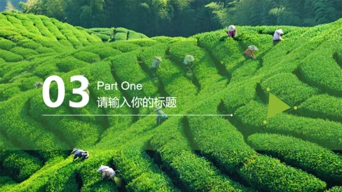 茶道茶文化中国风通用PPT模版