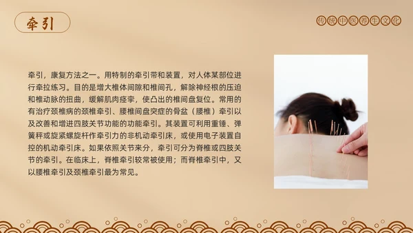 棕色简约中医适宜技术PPT模板宣传PPT动态PPT