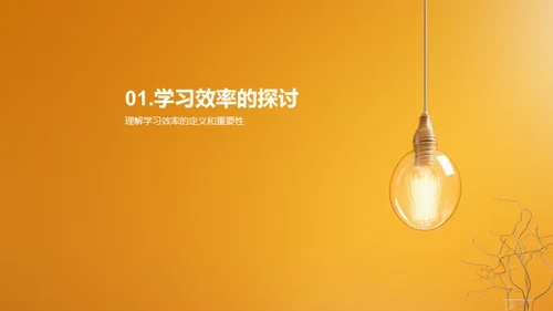 学习效率之道