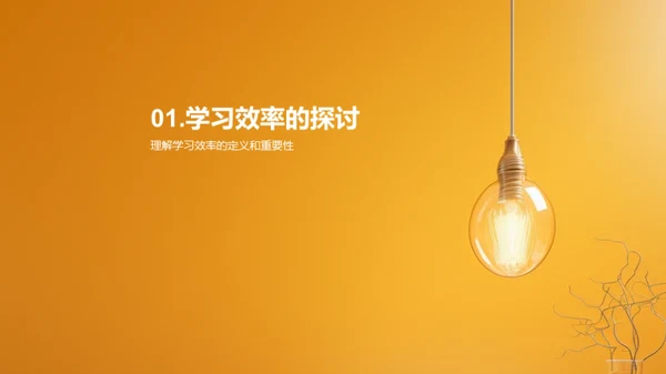 学习效率之道