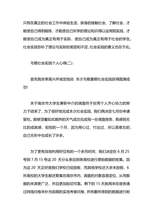 毛概社会实践个人心得.docx
