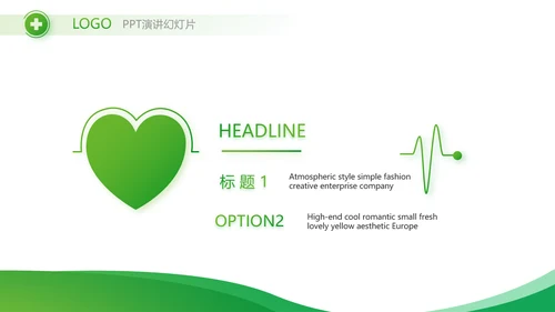 绿色简约医疗医药公司简介总结PPT